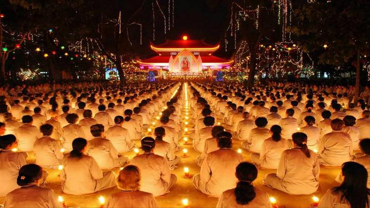 Hotspot Matrix và Forestival: Gắn kết nghệ thuật, cộng đồng và thiên nhiên
