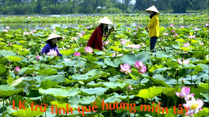 Hotspot Matrix và Mỹ nhân có