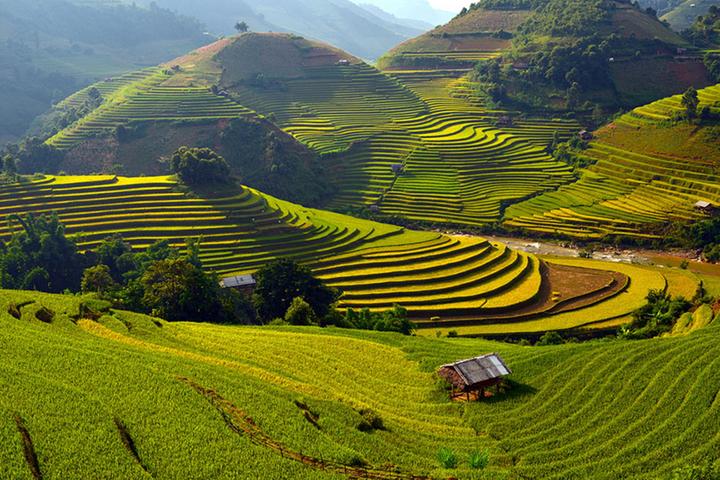 Tiêu đề: [Hotspot Matrix]: Sự Nghiệp Chướng - Pháo's Honest Take on Love and Life