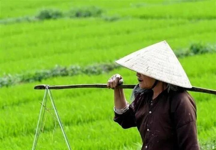 Từ Phong thủy tốt nhất của một đến chiến lược content: Hotspot Matrix chia sẻ