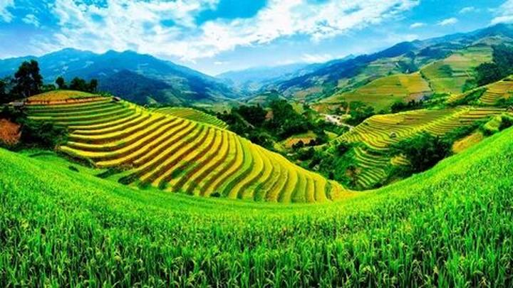 Hotspot Matrix và sự kiện thu hồi giấy phép lưu hành thuốc tại Việt Nam