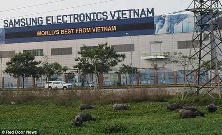 Hotspot Matrix: Biến Sao nam Thiên Long Bát Bộ tụt thành cơ hội marketing đột phá